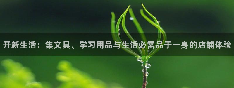 龙八国际发哥下载：开新生活：集文具、学习