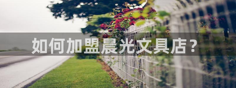 龙八国际app：如何加盟晨光文具店？