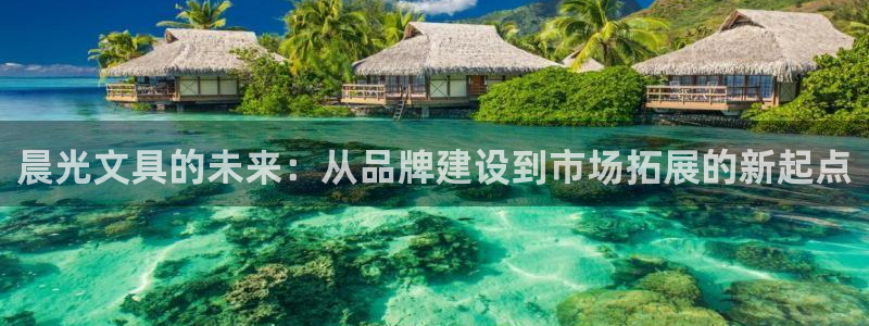 龙八国际怎么样：晨光文具的未来：从品牌建