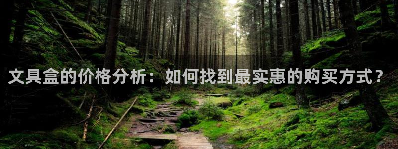 龙八国际视频网站：文具盒的价格分析：如何