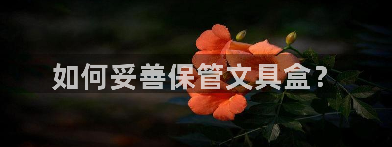 龙八国际娱：如何妥善保管文具盒？