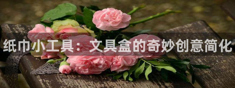 龙八国际官方旗舰店：纸巾小工具：文具盒的