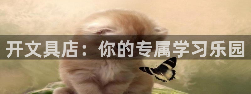 龙八国际娱乐平台网站：开文具店：你的专属