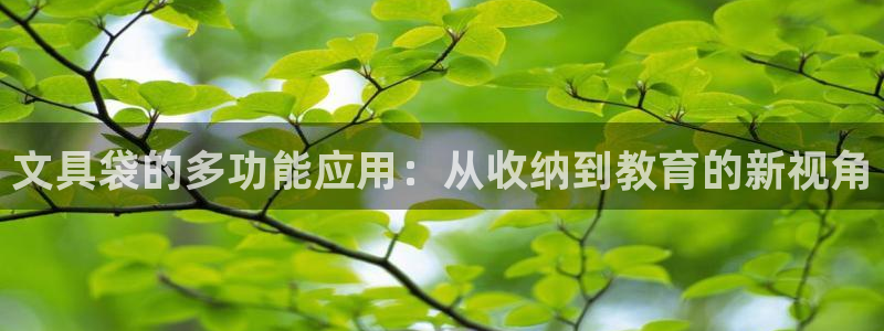 龙八国际管网：文具袋的多功能应用：从收纳