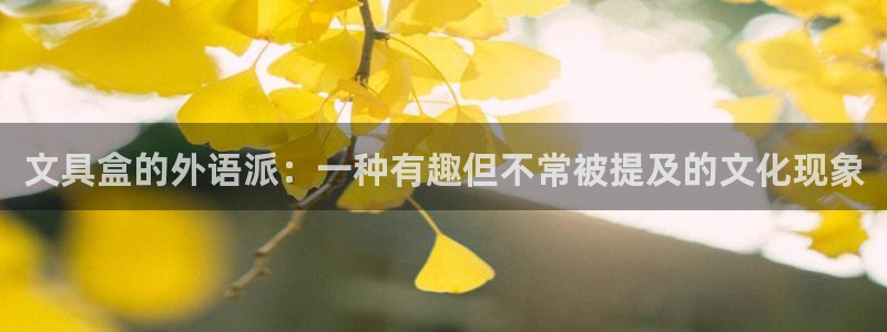 龙八国际城客运站电话：文具盒的外语派：一