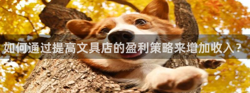 龙八国际集团：如何通过提高文具店的盈利策