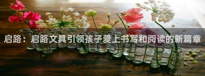 龙八国际是不是黑平台：启路：启路文具引领