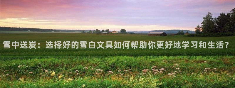 龙八国际登录入口：雪中送炭：选择好的雪白