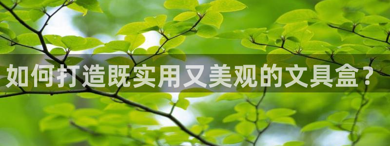 龙八国际app官方网站：如何打造既实用又