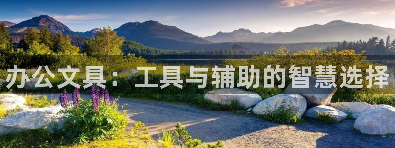 龙八国际娱乐app下载：办公文具：工具与