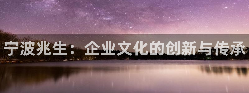 冯文戈 龙八国际集团：宁波兆生：企业文化