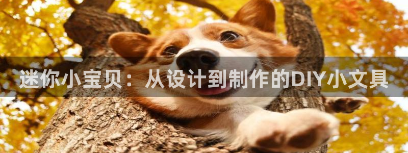 头号玩家龙八国际网址：迷你小宝贝：从设计