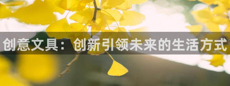 龙八国际客户端pt：创意文具：创新引领未