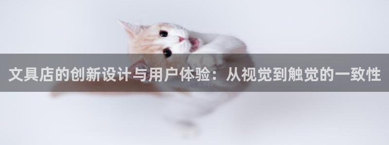 龙八国际软件下载：文具店的创新设计与用户