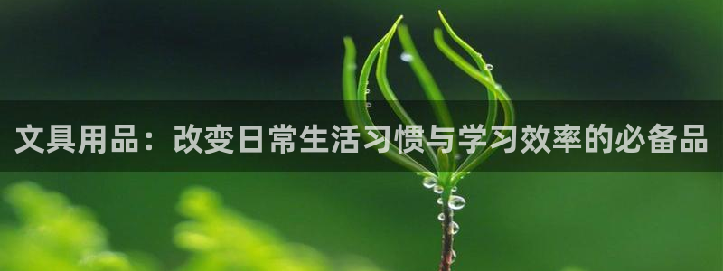 龙八国际app下载安装：文具用品：改变日