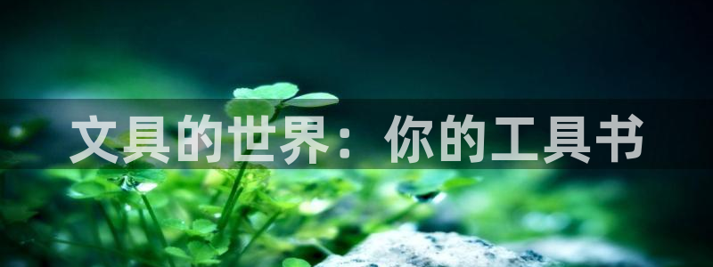 龙八国际技巧：文具的世界：你的工具书