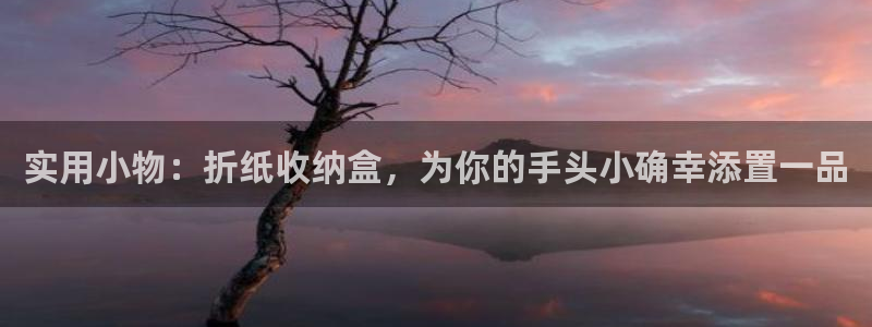 龙八国际集团有限公司：实用小物：折纸收纳