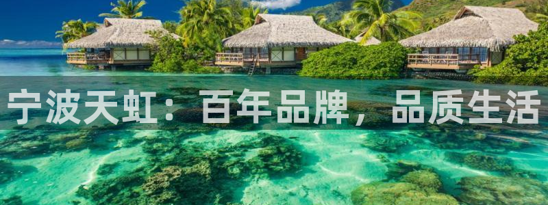 龙八国际在线下载：宁波天虹：百年品牌，品