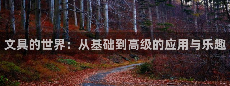 龙八国际头号玩家：文具的世界：从基础到高