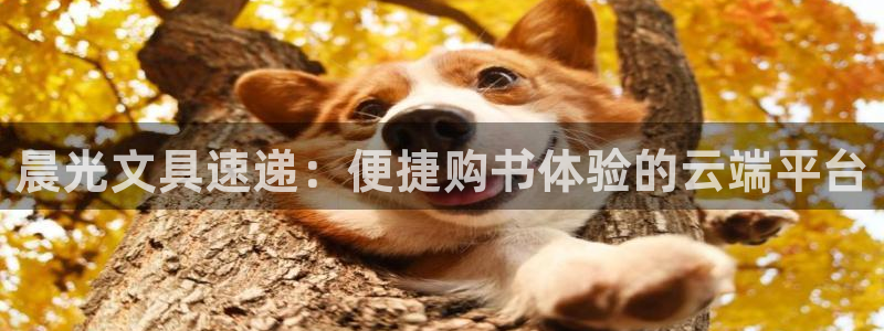 龙八国际娱乐老虎机：晨光文具速递：便捷购