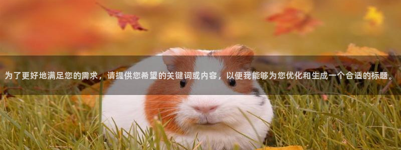 龙八国际娱乐网站：为了更好地满足您的需求