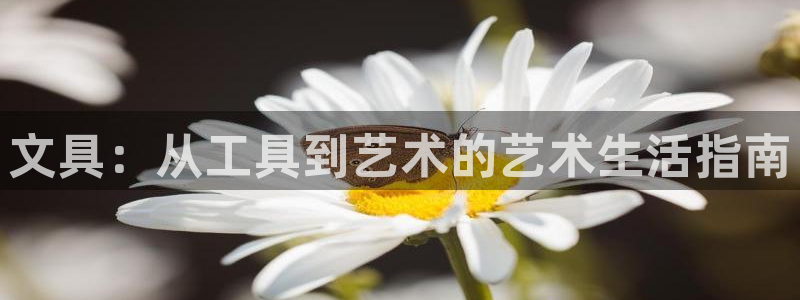 龙八国际网页long8868：文具：从工