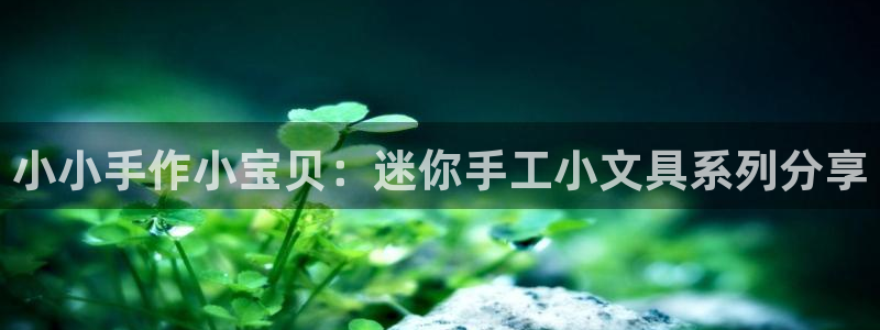 龙八国际下载链接手机端：小小手作小宝贝：