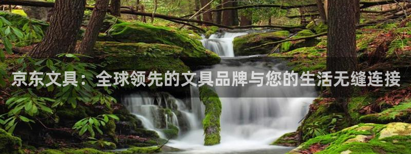 龙八国际app客户下载：京东文具：全球领