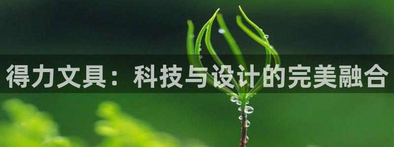 龙八国际菲律宾官网：得力文具：科技与设计