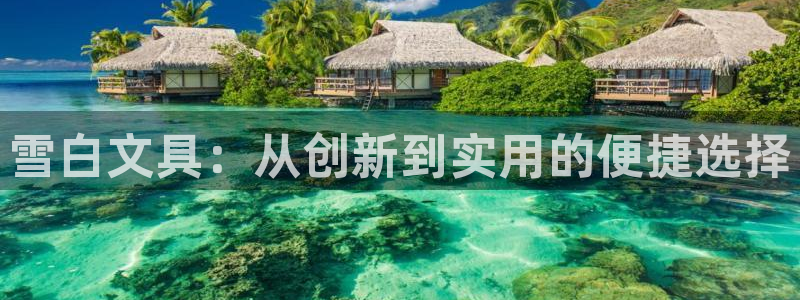 龙八国际平台手机版：雪白文具：从创新到实
