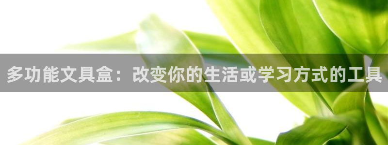 下载龙八国际手机版：多功能文具盒：改变你