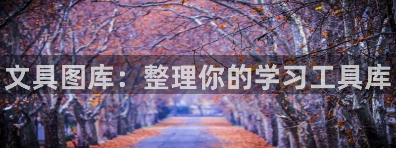 龙八国际app电话：文具图库：整理你的学