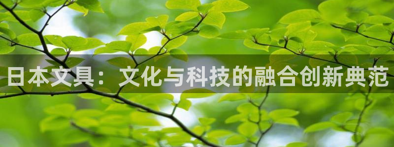 龙八国际娱乐pt老虎机：日本文具：文化与