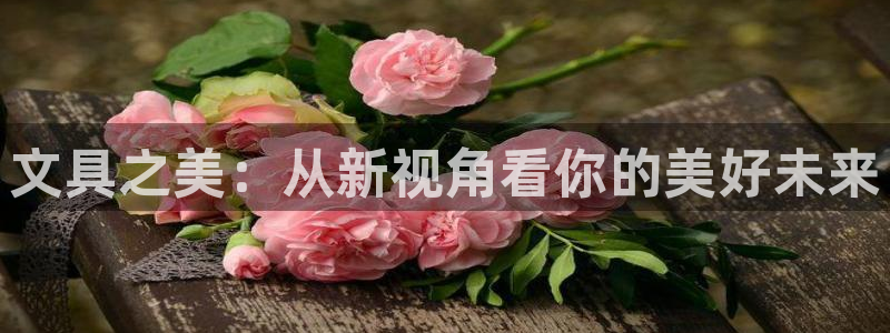 龙八国际客户端下载安卓：文具之美：从新视