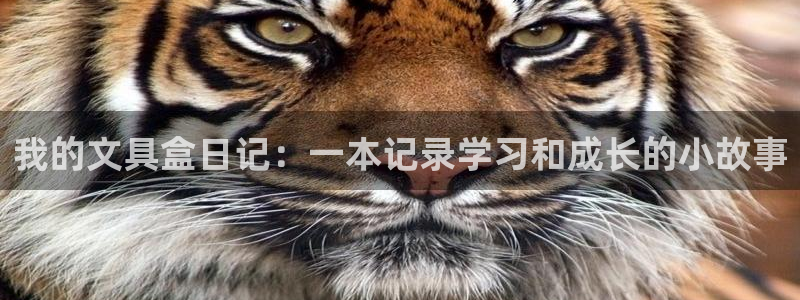 龙八国际下载链接安卓：我的文具盒日记：一