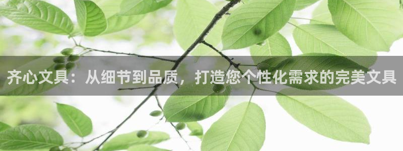 龙八国际怎么注册手机端：齐心文具：从细节