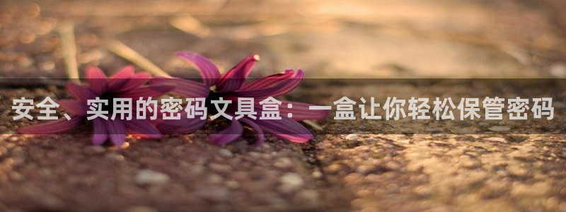 龙八国际app安卓：安全、实用的密码文具