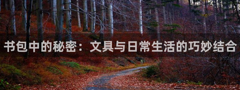 龙八国际娱乐pt老虎机：书包中的秘密：文