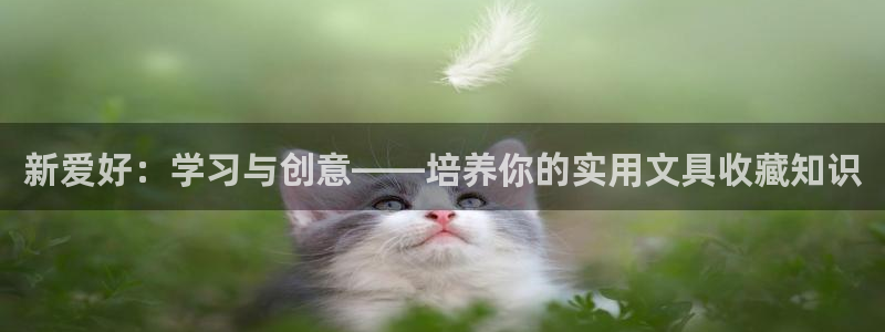 龙八国际注册f68点top：新爱好：学习