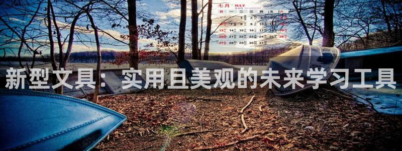 龙八国际Pt老虎机：新型文具：实用且美观