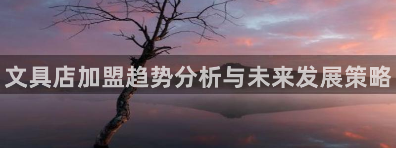 龙八国际老虎：文具店加盟趋势分析与未来发