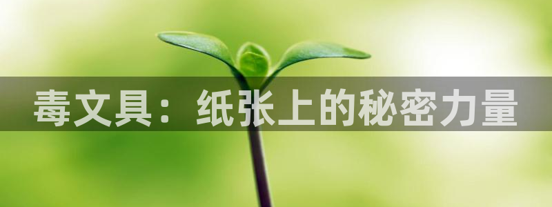 龙八国际p：毒文具：纸张上的秘密力量
