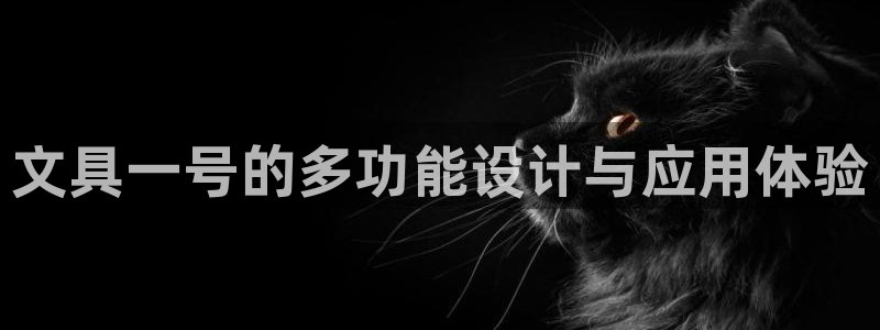 龙八国际娱乐客服：文具一号的多功能设计与