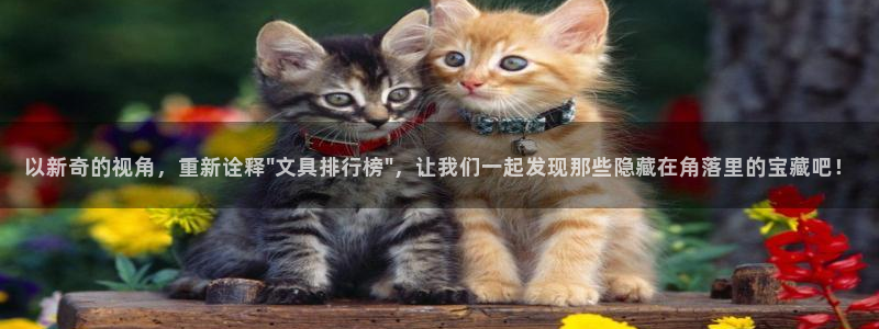 龙八国际平台下载：以新奇的视角，重新诠释