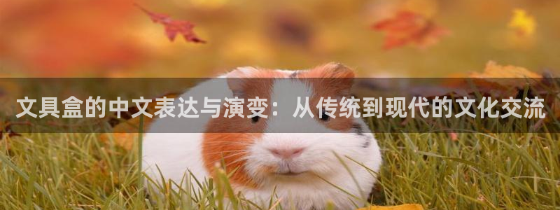 龙八国际是什么：文具盒的中文表达与演变：