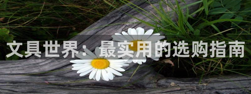 龙八国际登录网：文具世界：最实用的选购指