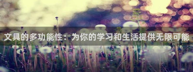龙八国际不可思议的气球：文具的多功能性：