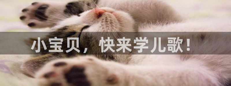 龙八国际 我的：小宝贝，快来学儿歌！