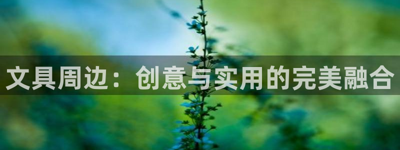 龙八国际娯乐城：文具周边：创意与实用的完