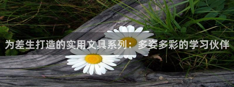 l龙八国际网页登录：为差生打造的实用文具